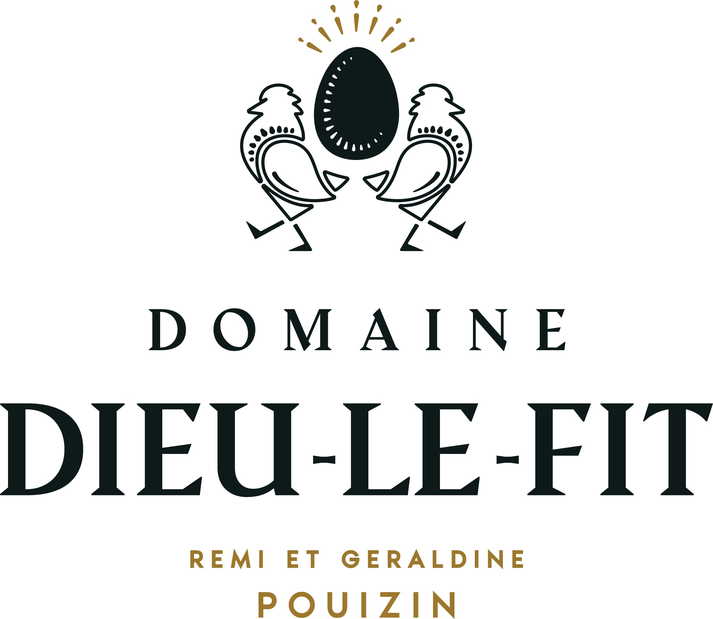 VIGNOBLE REMI POUIZIN
