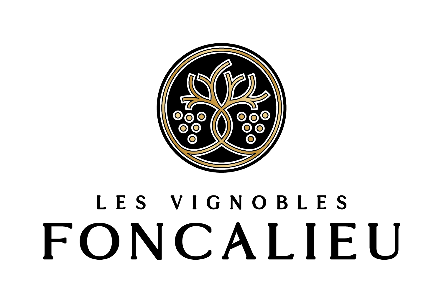 LES VIGNOBLES FONCALIEU