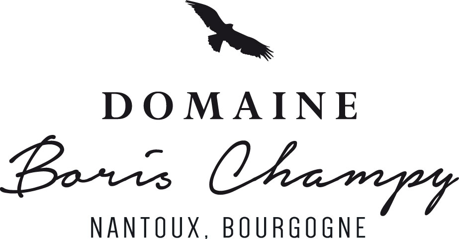 BORIS CHAMPY VINO SARL (ex Domaine Monchovet)