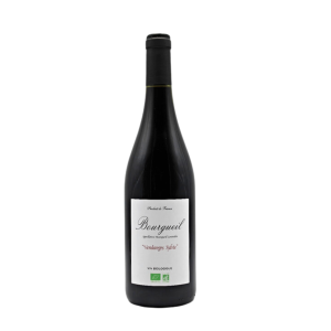 AOP BOURGUEIL 2022 - Vendanges Sylvie