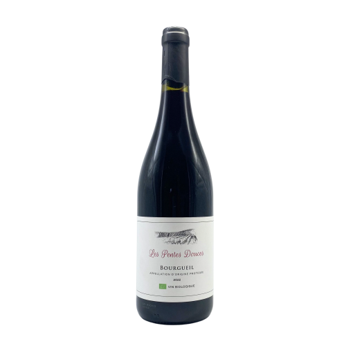 AOP BOURGUEIL 2022 - Les Pentes Douces