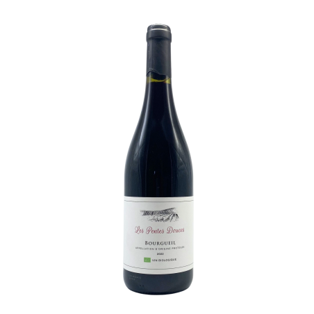 AOP BOURGUEIL 2022 - Les Pentes Douces
