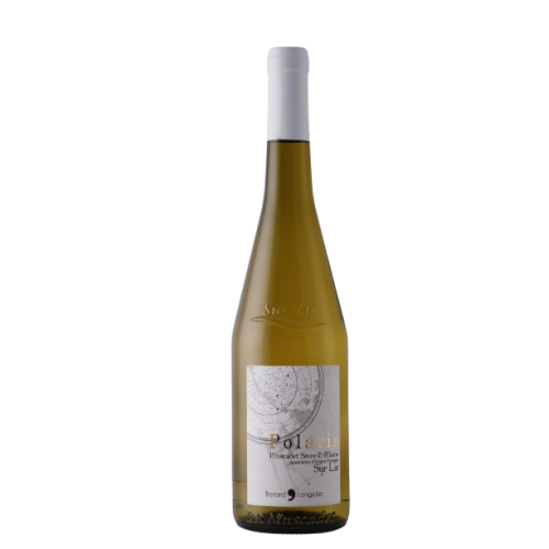 AOP MUSCADET SEVRE & MAINE 2021 - Polaris Dne Batard Langelier
