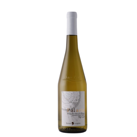AOP MUSCADET SEVRE & MAINE 2021 - Polaris Dne Batard Langelier