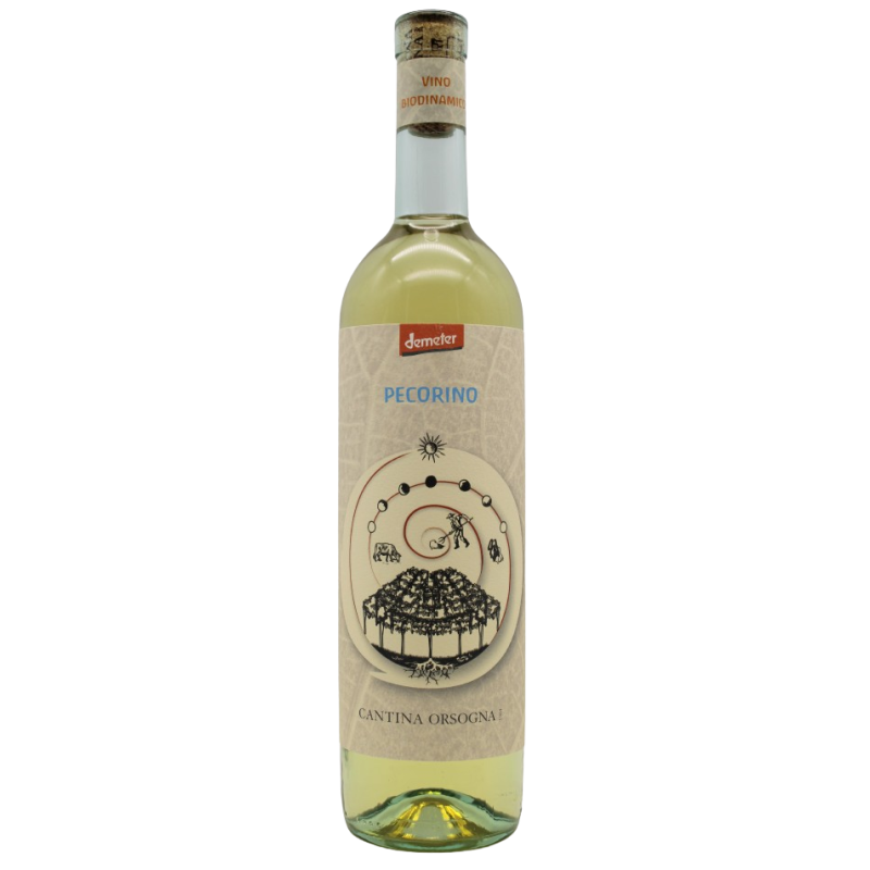 IGP TERRE DI CHIETI 2022 - PECORINO ITALIE