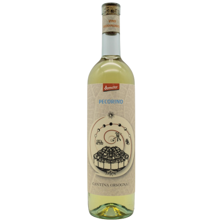 IGP TERRE DI CHIETI 2022 - PECORINO ITALIE