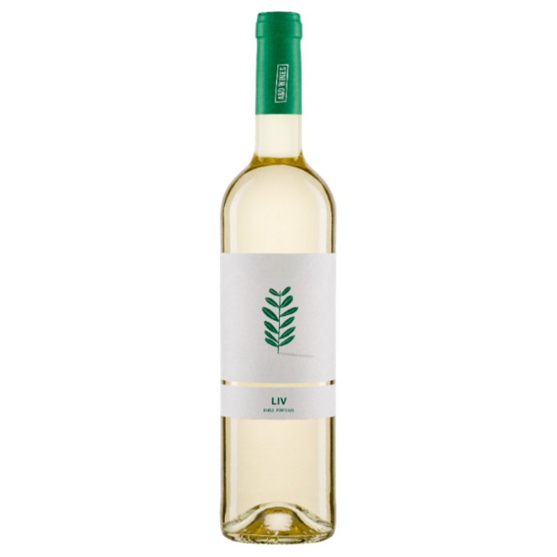 VINHO VERDE DOC 2023 - LIV PORTUGAL