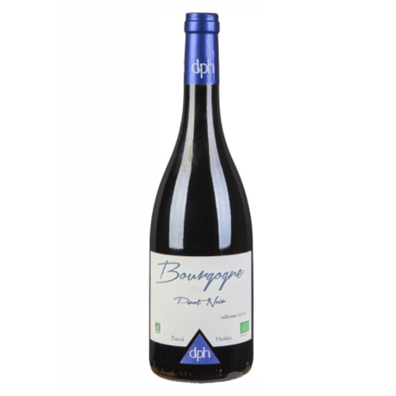 AOP BOURGOGNE ROUGE 2022 - PINOT NOIR DNE PATRICK HUDELOT