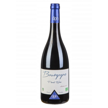 AOP BOURGOGNE ROUGE 2022 - PINOT NOIR DNE PATRICK HUDELOT