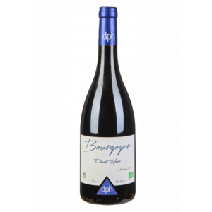 AOP BOURGOGNE ROUGE 2022 - PINOT NOIR DNE PATRICK HUDELOT