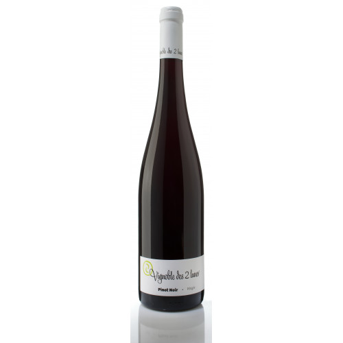 AOP ALSACE PINOT NOIR 2023 -  Vignoble Des Deux Lunes