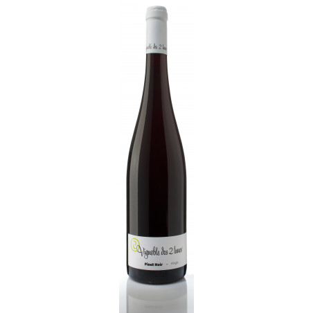 AOP ALSACE PINOT NOIR 2023 -  Vignoble Des Deux Lunes