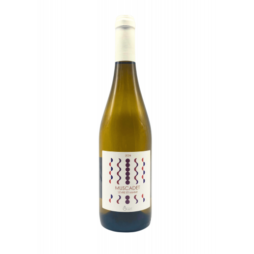 AOP MUSCADET SEVRE & MAINE SUR LIE 2023 - Dne La Bregeonnette