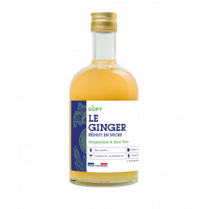 LE GINGER RÉDUIT EN SUCRE LE GINGER RÉDUIT EN SUCRE
