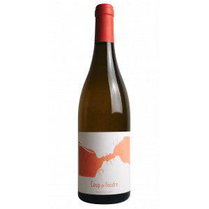 AOP MUSCADET 2024  - Coup de foudre - Domaine de la Fessardière