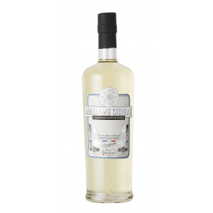 Liqueur de fleur de Sureau Madame sureau bigalet