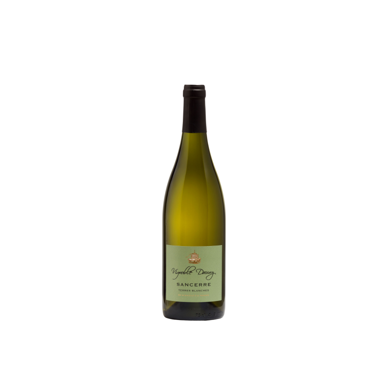 AOP SANCERRE BLANC 2025 - TERRES BLANCHES - Domaine Dauny