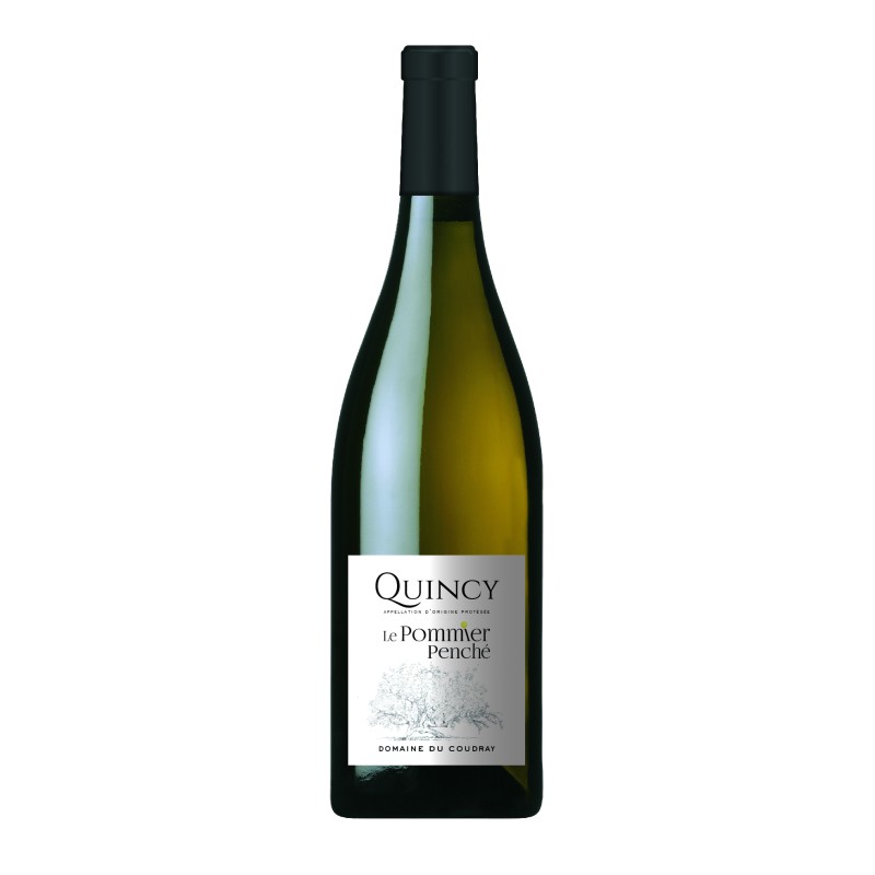 AOP QUINCY 2024 - LE POMMIER PENCHÉ - Domaine du Coudray
