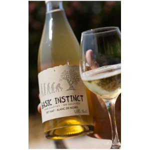 PET NAT BLANC - VIN DE FRANCE - BASIC INSTINCT - Villa Noria