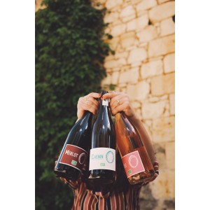 IGP VAL DE LOIRE - CHENIN ZÉRO - SANS SO² AJOUTÉS