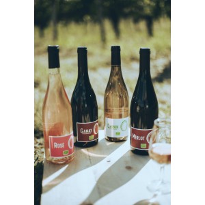 IGP VAL DE LOIRE - ROSÉ ZÉRO - SANS SO² AJOUTÉS
