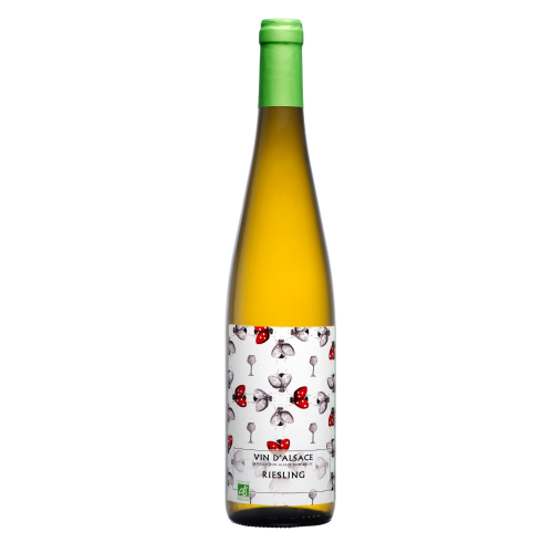AOP ALSACE RIESLING  2021 - Cave de Ribeauvillé