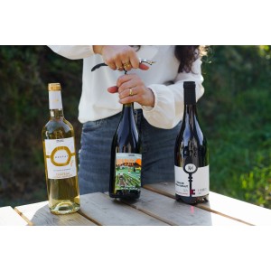 IGP CÔTES CATALANES 2024 - 3 SOURCES - Château Nadal Hainaut