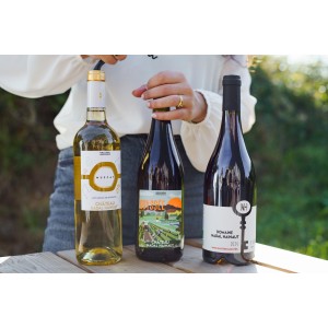 AOP CÔTES DU ROUSSILLON 2019 ODYSSÉE - Château Nadal Hainaut