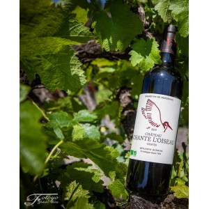 AOP GRAVES 2022 - Château Chante L'Oiseau