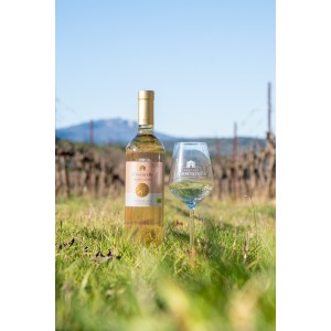 AOP CÔTEAUX VAROIS EN PROVENCE ROSÉ 2025 - Château l'Escarelle