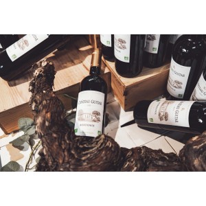 AOP BORDEAUX 2021 - Château Guitar