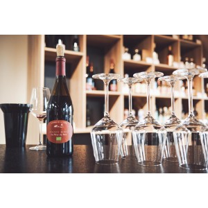 AOP ANJOU VILLAGE 2023 - LE GRAND RIOU - Domaine des Clostiers