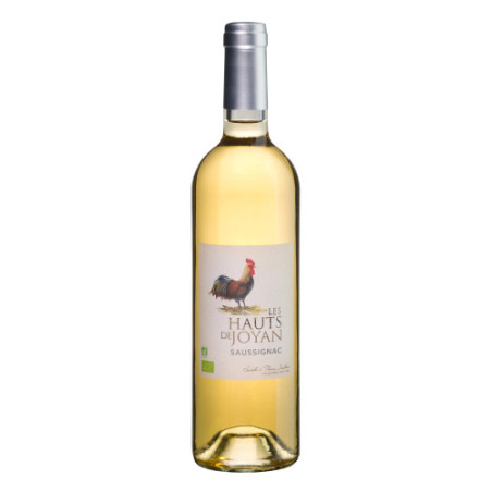 AOP SAUSSIGNAC 2009 - Les Hauts de Joyan