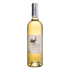 AOP SAUSSIGNAC 2009 - Les Hauts de Joyan
