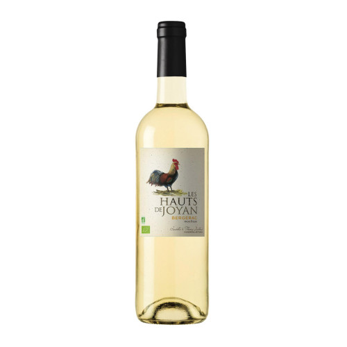 AOP CÔTES DE BERGERAC Blanc 2020 - Les hauts de Joyan