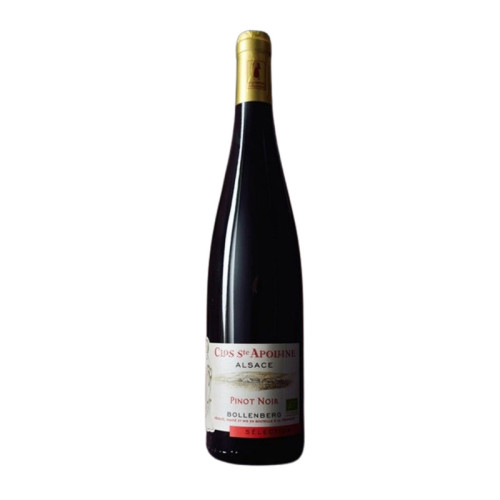 AOP ALSACE PINOT NOIR 2022 - Dne Bollenberg Clos Ste Apolline