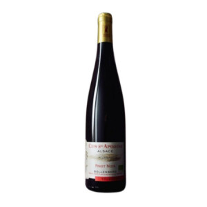 AOP ALSACE PINOT NOIR 2022 - Dne Bollenberg Clos Ste Apolline