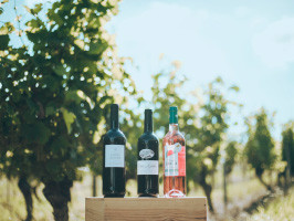 Vin rouge