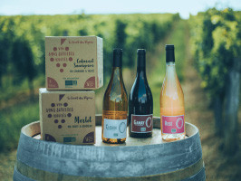 Vin sans sulfites