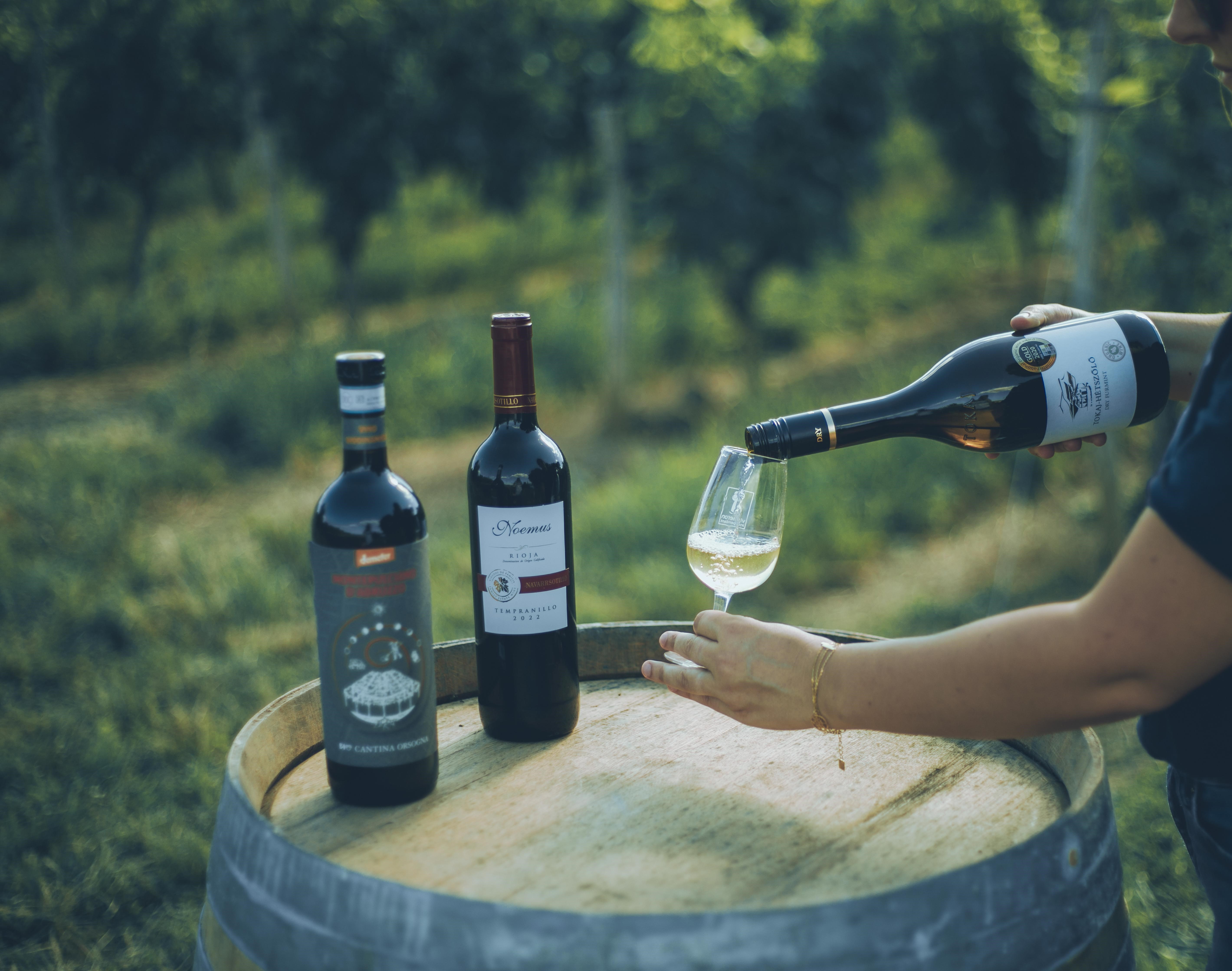 2013_vins du monde.jpg