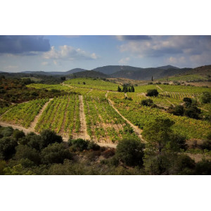 LES MAITRES VIGNERONS DE CASCASTEL