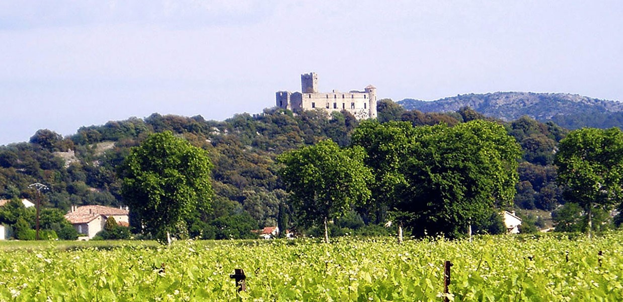 TORNAC VIGNOBLES SAS