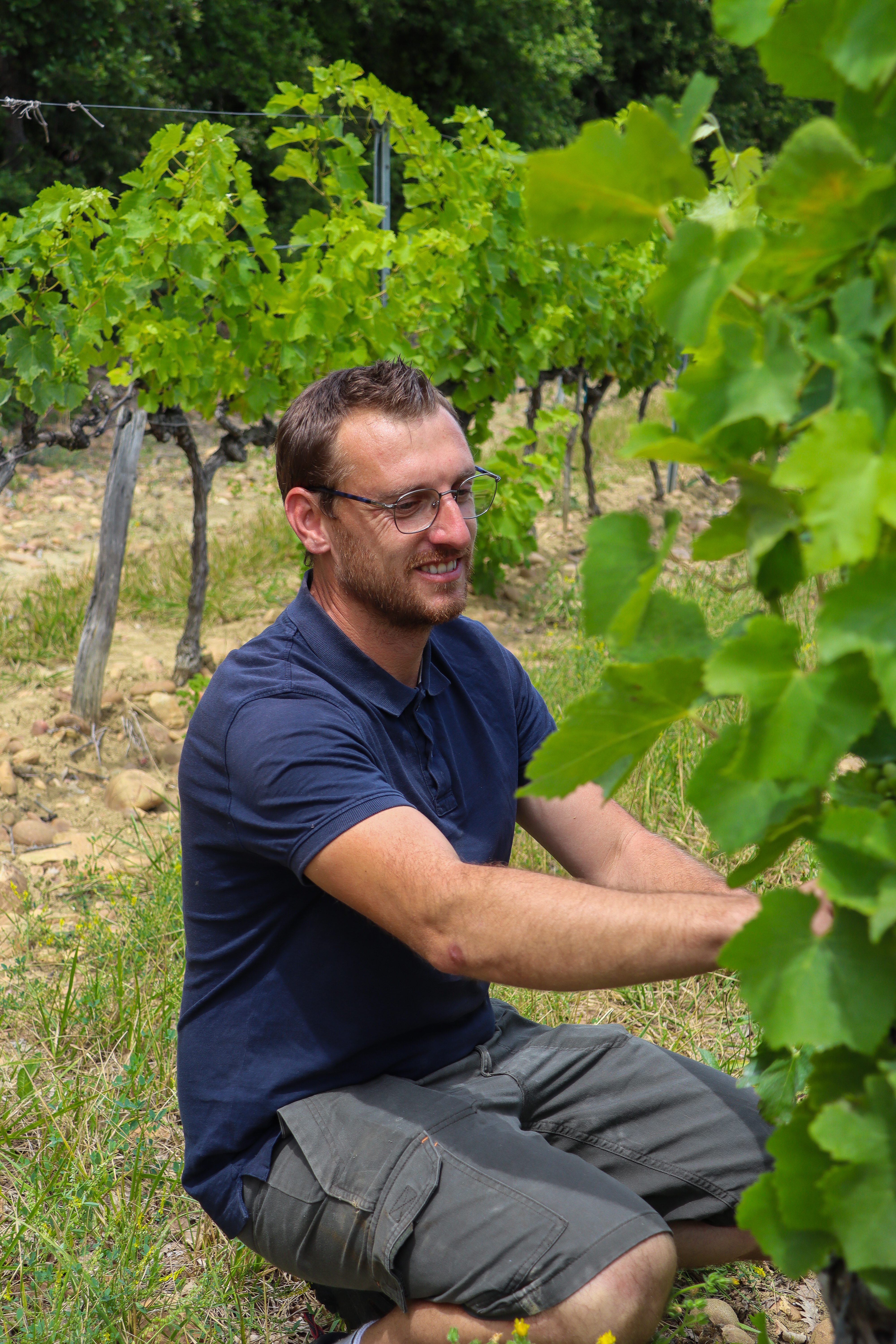 VIGNERONS ARDECHOIS