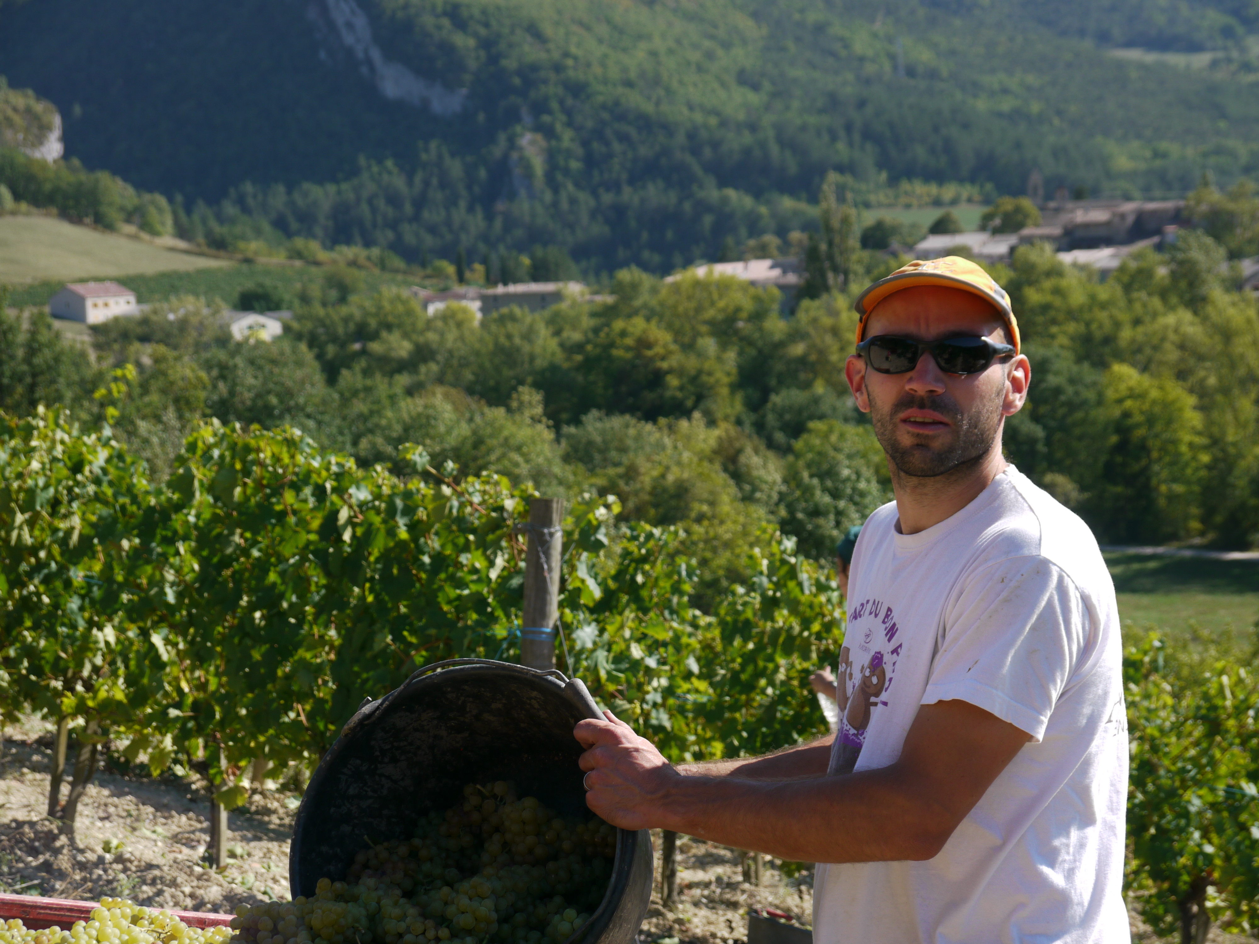 DOMAINE ACHARD VINCENT