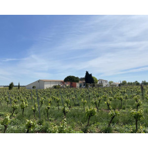 DOMAINE DE PETIT ROUBIE