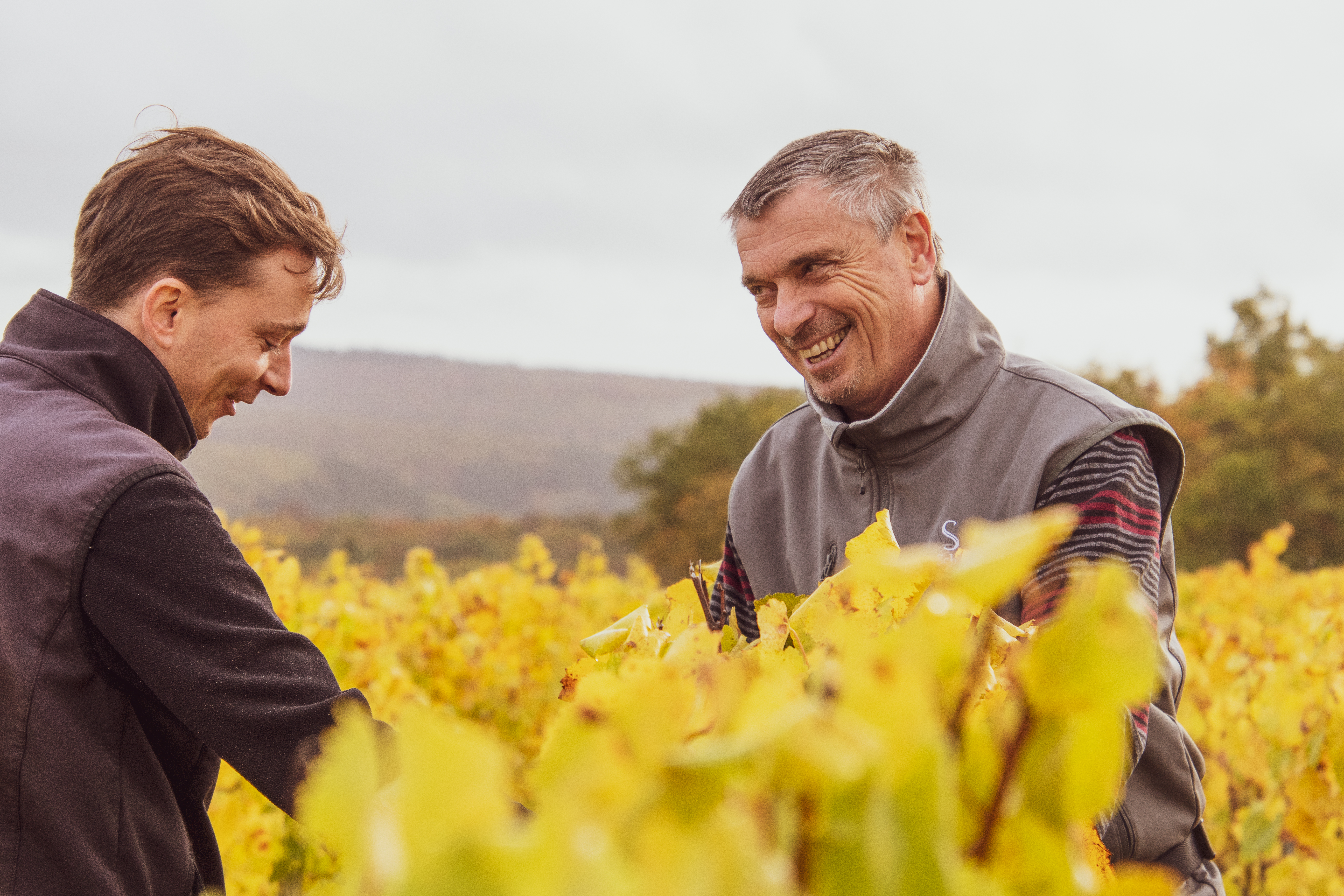 DOMAINE ERIC SCHREIBER