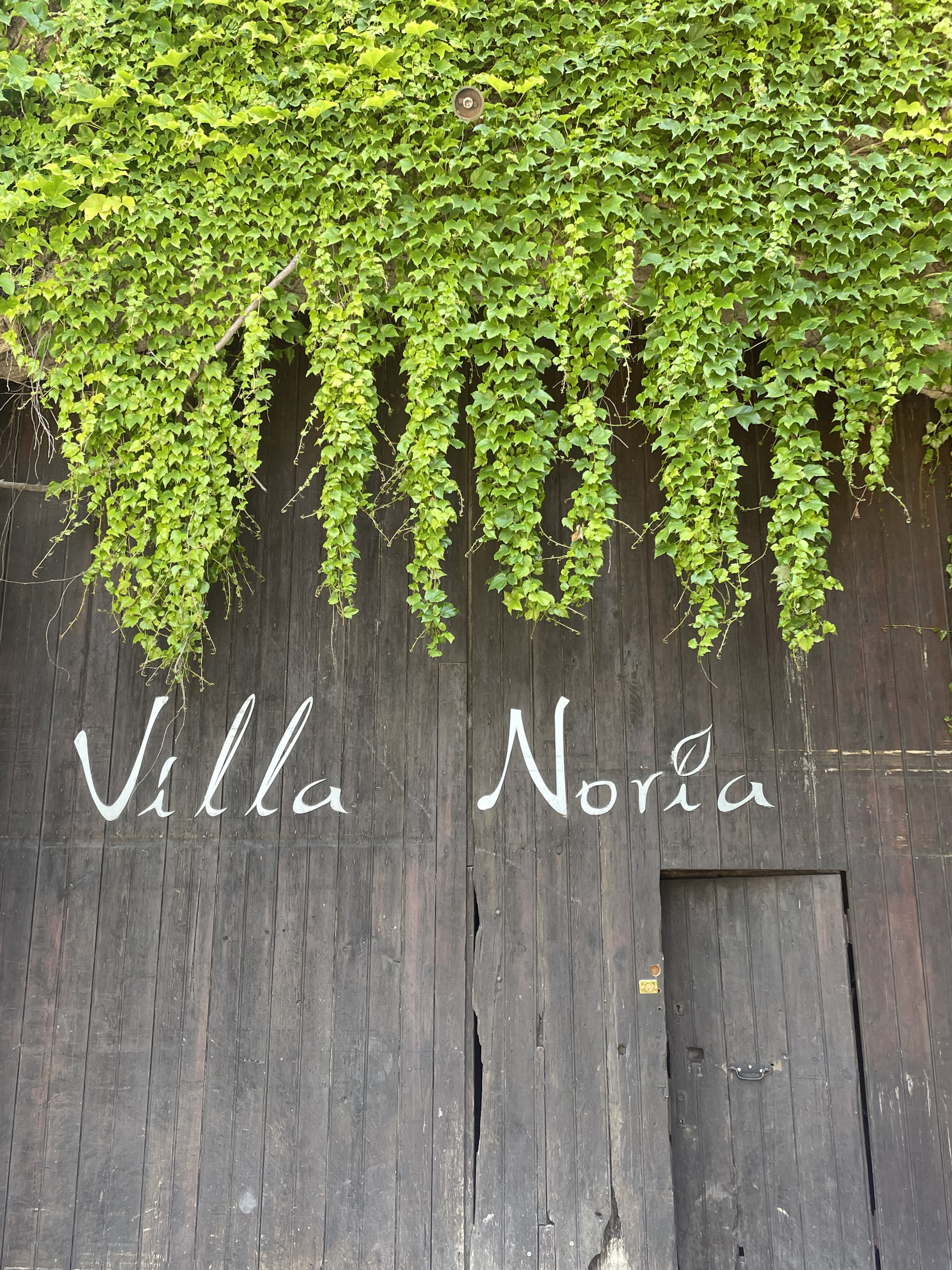 DOMAINE VILLA NORIA