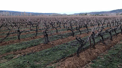 CHATEAU LES EYDINS