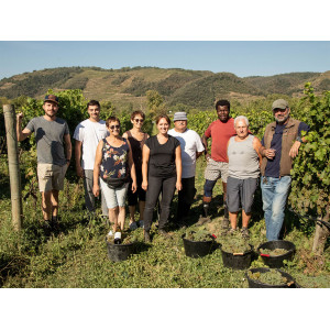 DOMAINE BREYTON