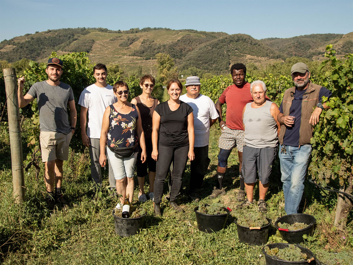 DOMAINE BREYTON